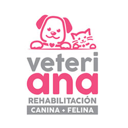 Diseño y Desarrollo Web